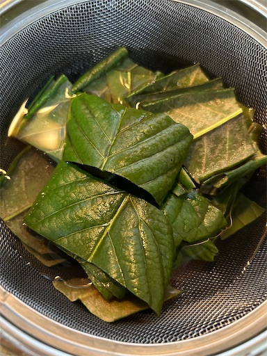 f:id:coffret11x:20230310195743j:image f:id:coffret11x:20230310195743j:image