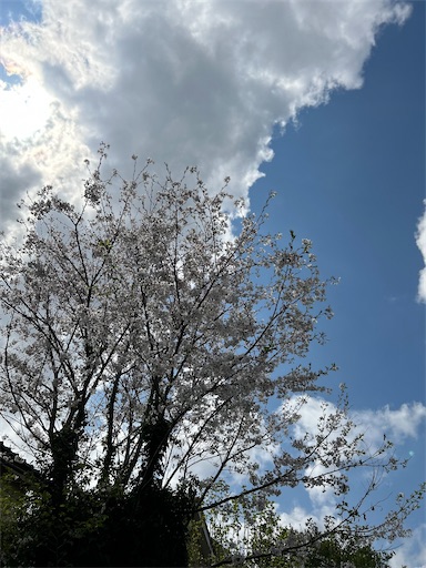 f:id:coffret11x:20230401154548j:image