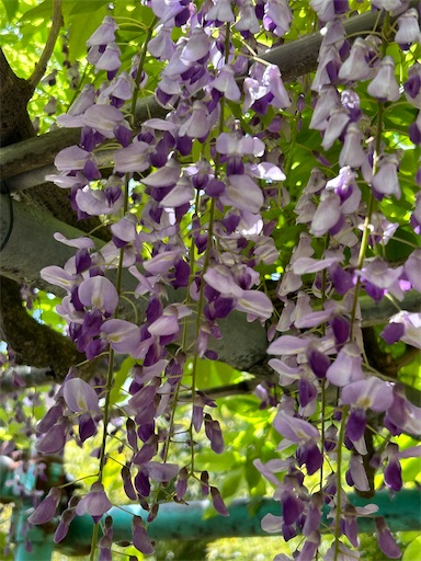 f:id:coffret11x:20230417195607j:image