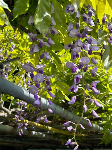 f:id:coffret11x:20230417195622j:image