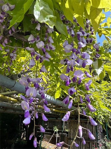 f:id:coffret11x:20230417195631j:image