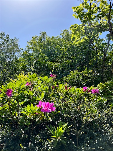 f:id:coffret11x:20230417195648j:image