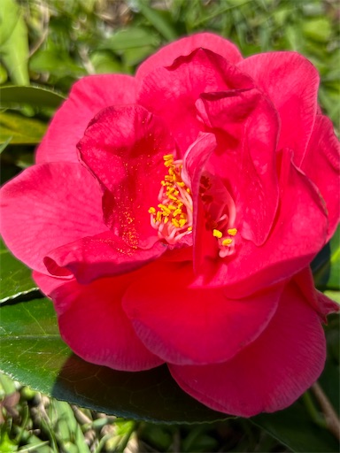 f:id:coffret11x:20230417195659j:image