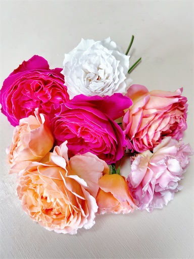 f:id:coffret11x:20230429161156j:image