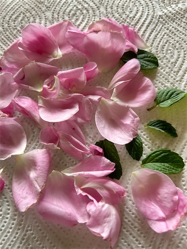 f:id:coffret11x:20230430144751j:image