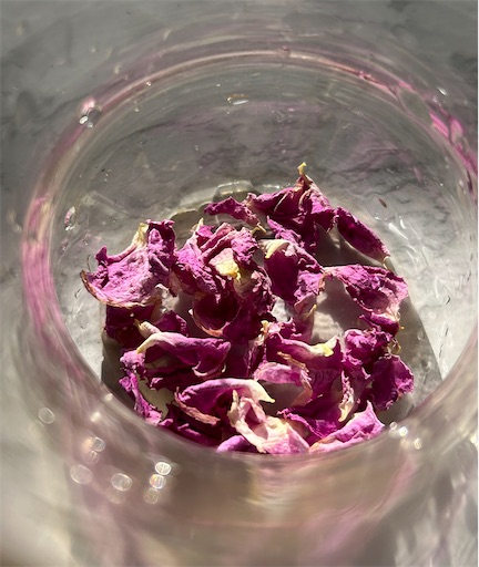 f:id:coffret11x:20230430144804j:image