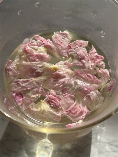 f:id:coffret11x:20230430144828j:image