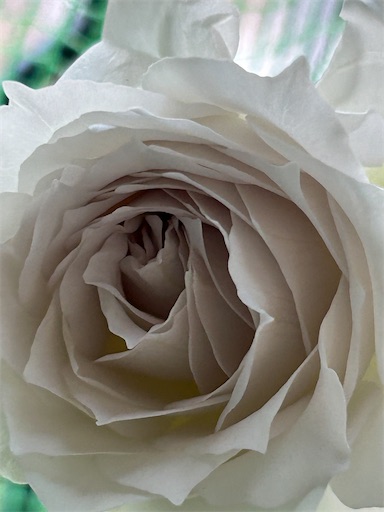 f:id:coffret11x:20230504232800j:image f:id:coffret11x:20230504232800j:image