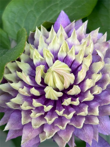 f:id:coffret11x:20230512203159j:image