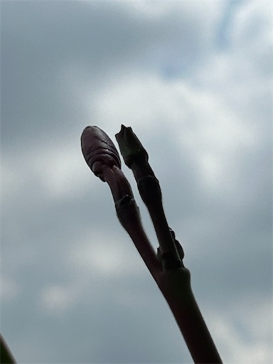 f:id:coffret11x:20230818131430j:image f:id:coffret11x:20230818131430j:image