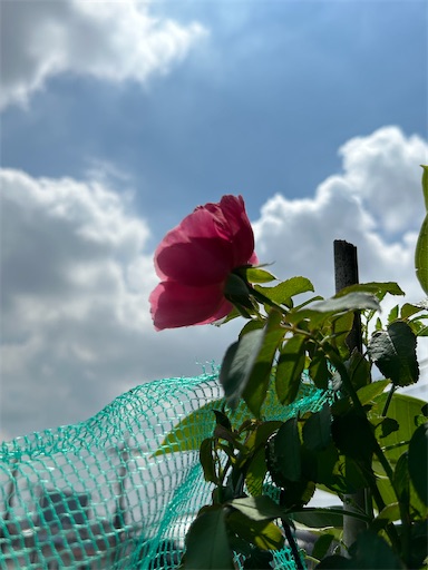 f:id:coffret11x:20230818131457j:image f:id:coffret11x:20230818131457j:image