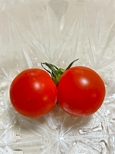 f:id:coffret11x:20230824230817j:image f:id:coffret11x:20230824230817j:image