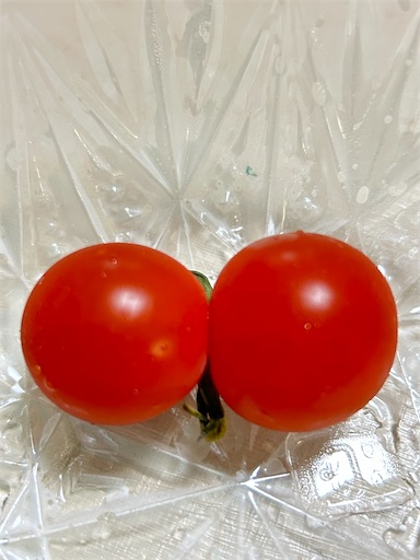 f:id:coffret11x:20230824230837j:image f:id:coffret11x:20230824230837j:image