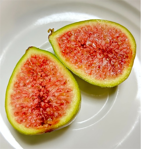 f:id:coffret11x:20230827190459j:image f:id:coffret11x:20230827190459j:image