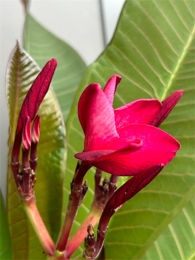 f:id:coffret11x:20230827190652j:image f:id:coffret11x:20230827190652j:image