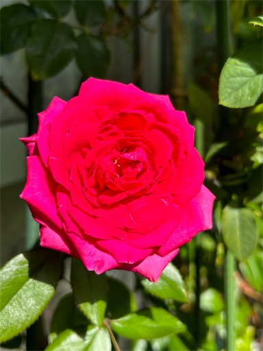 f:id:coffret11x:20230827190802j:image f:id:coffret11x:20230827190802j:image