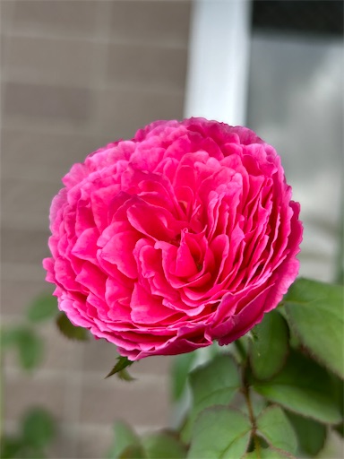 f:id:coffret11x:20230827190931j:image f:id:coffret11x:20230827190931j:image