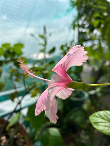 f:id:coffret11x:20230828184006j:image f:id:coffret11x:20230828184006j:image