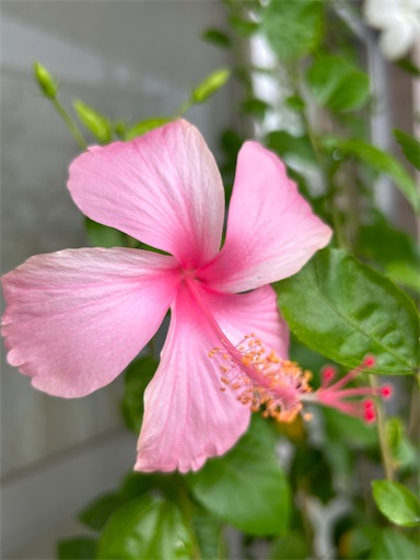 f:id:coffret11x:20230828184015j:image f:id:coffret11x:20230828184015j:image