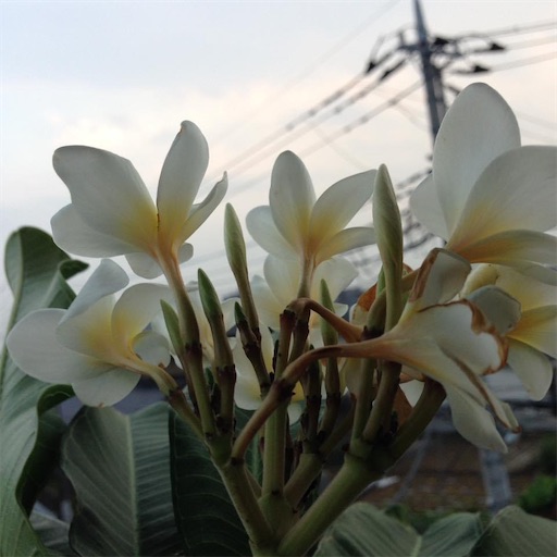 f:id:coffret11x:20231005191032j:image f:id:coffret11x:20231005191032j:image