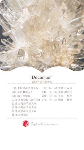 f:id:coffret11x:20231213203134p:image