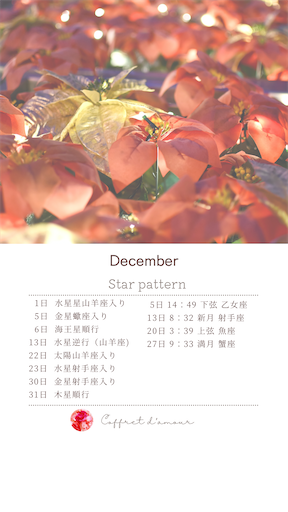 f:id:coffret11x:20231213204014p:image