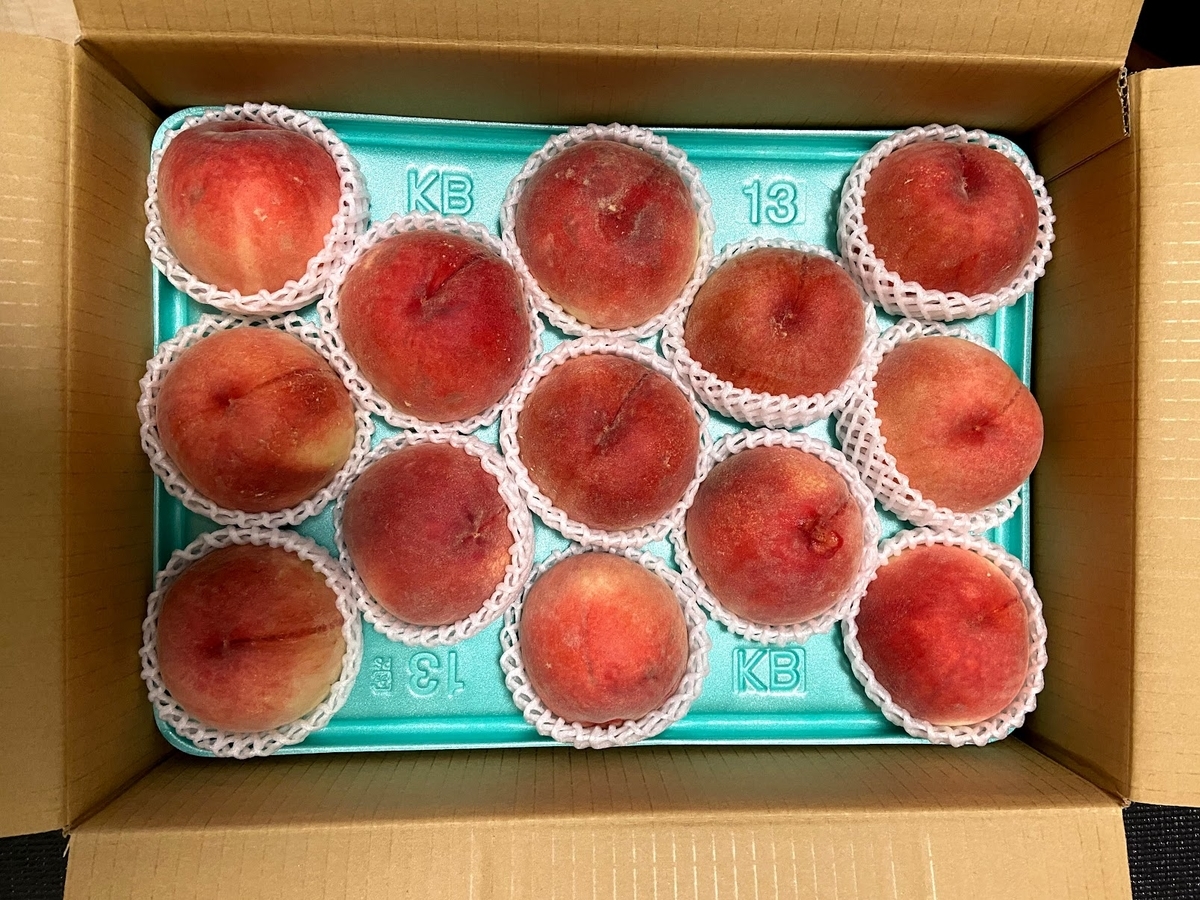 f:id:cogepan20:20210822215736j:plain