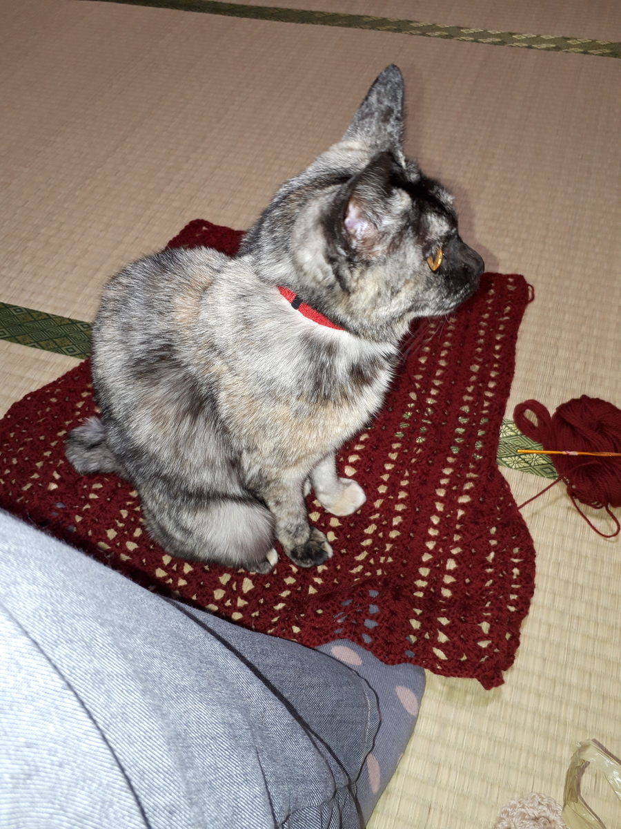 f:id:cogioya:20190319100057j:plain f:id:cogioya:20190319100057j:plain