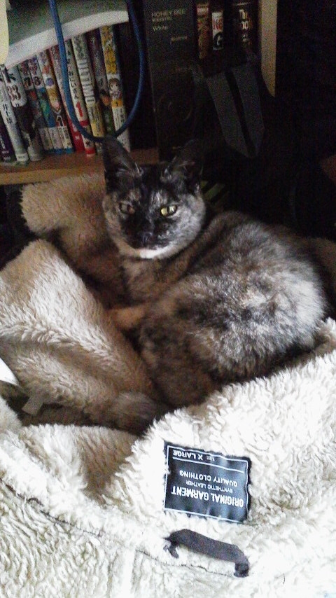 f:id:cogioya:20190328100108j:plain