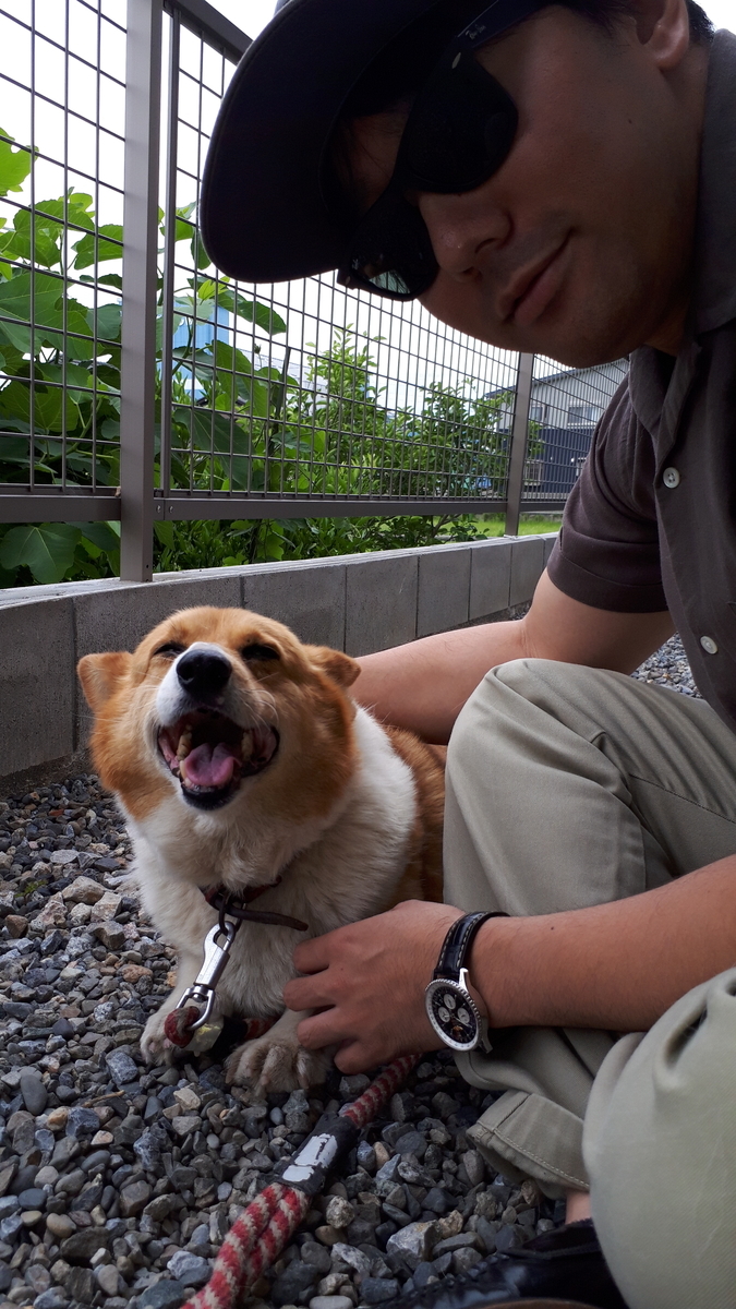 f:id:cogioya:20190614190714j:plain