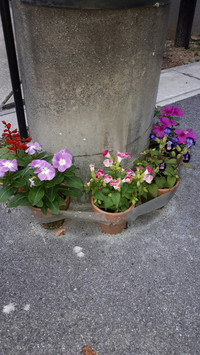 f:id:cogioya:20190615210142j:plain