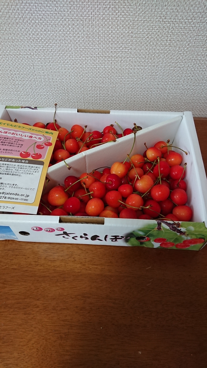 f:id:cogioya:20190630072050j:plain