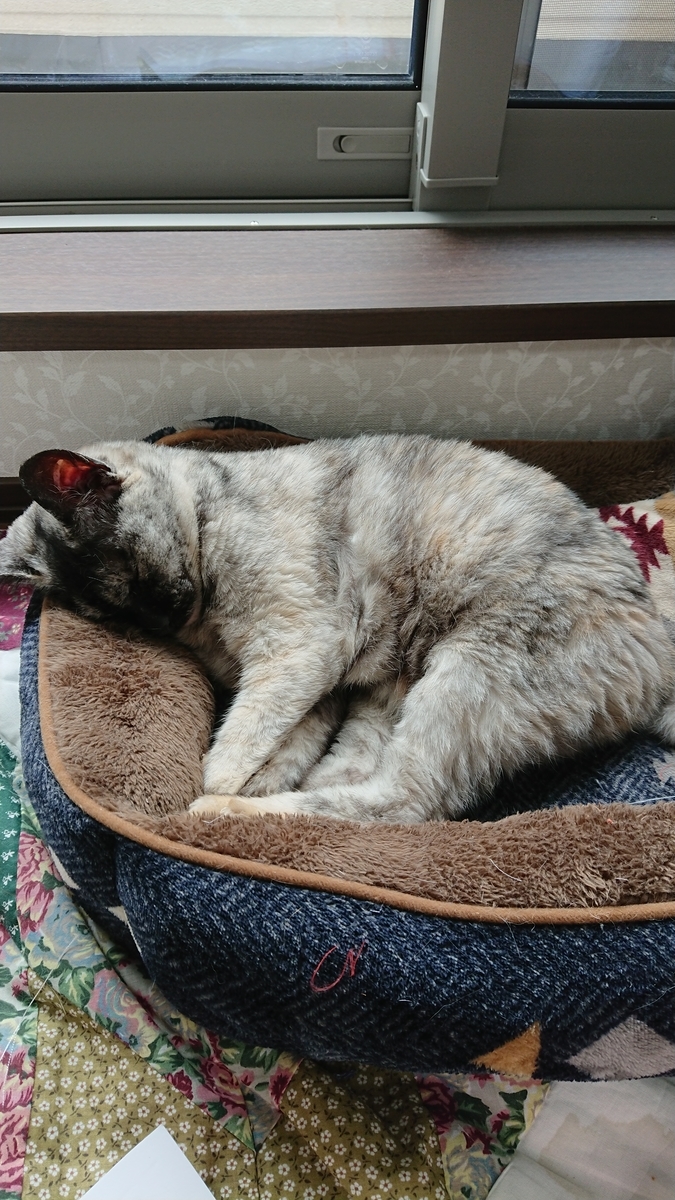 f:id:cogioya:20190818084052j:plain f:id:cogioya:20190818084052j:plain