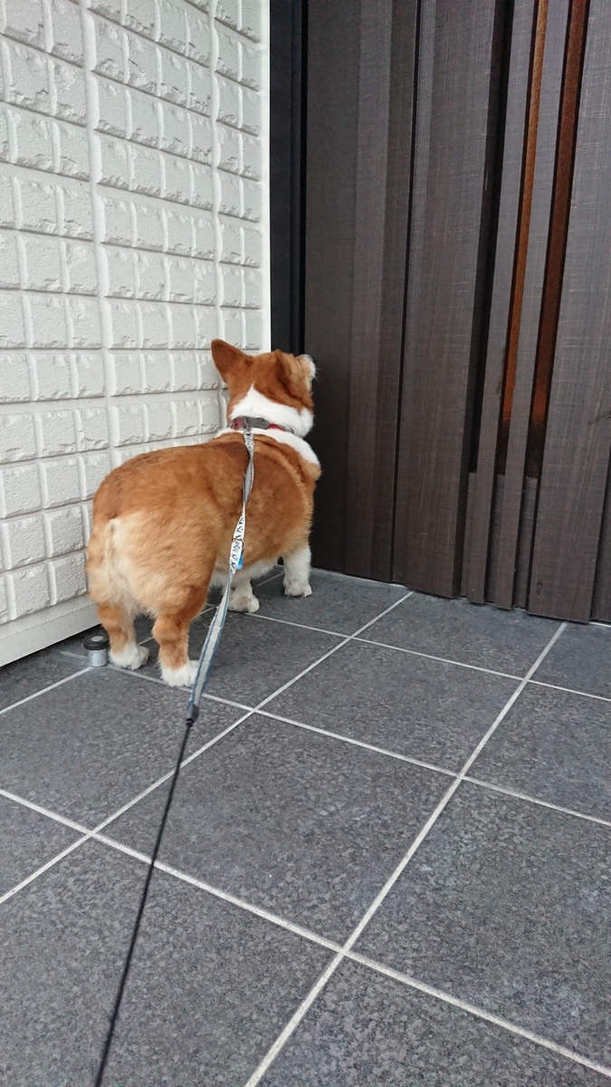 f:id:cogioya:20190905233113j:plain f:id:cogioya:20190905233113j:plain