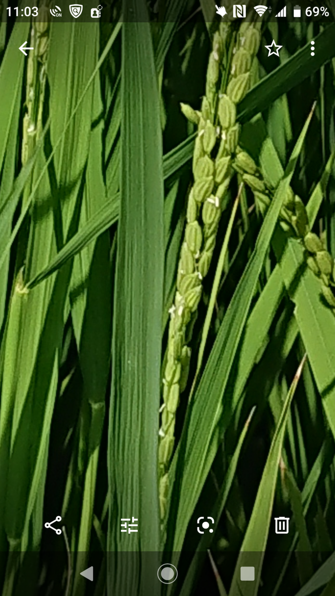 f:id:cogioya:20190909110346p:plain f:id:cogioya:20190909110346p:plain