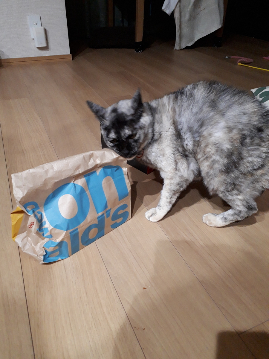 f:id:cogioya:20190920062538j:plain