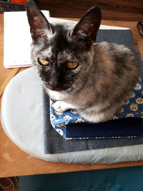 f:id:cogioya:20191017070014j:image