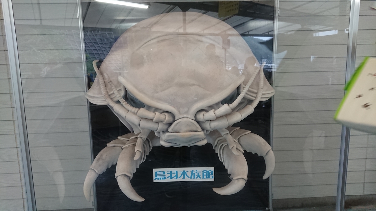 f:id:cogioya:20191019084330j:plain