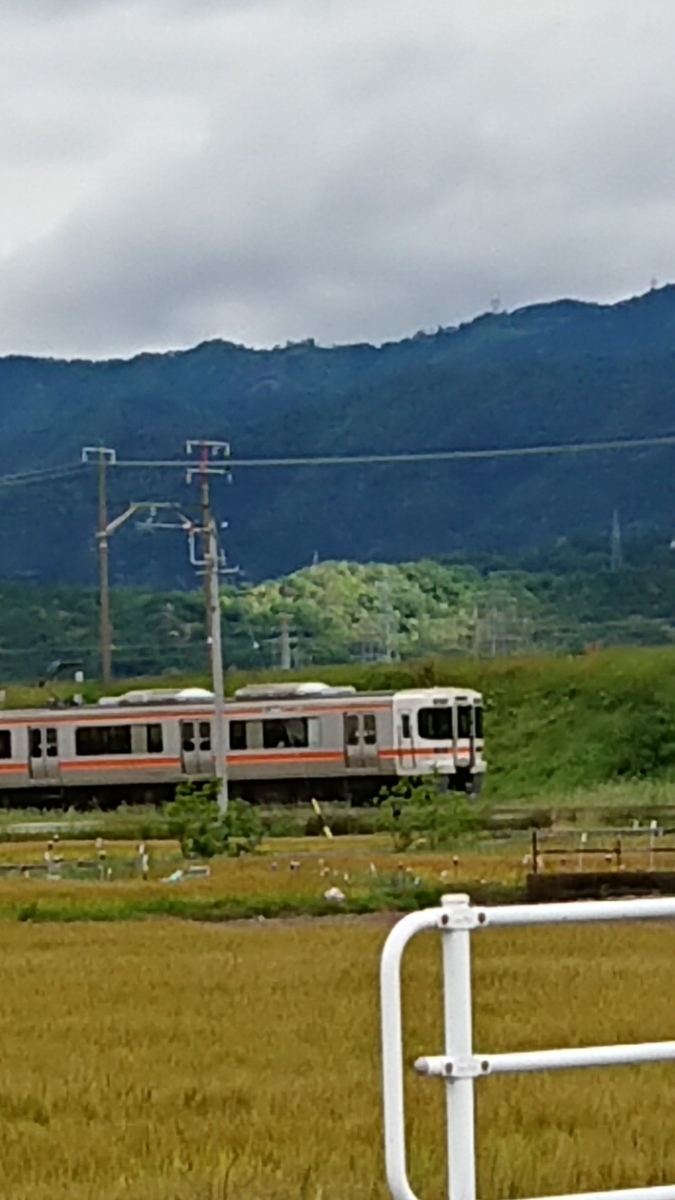 f:id:cogioya:20200521080641j:plain