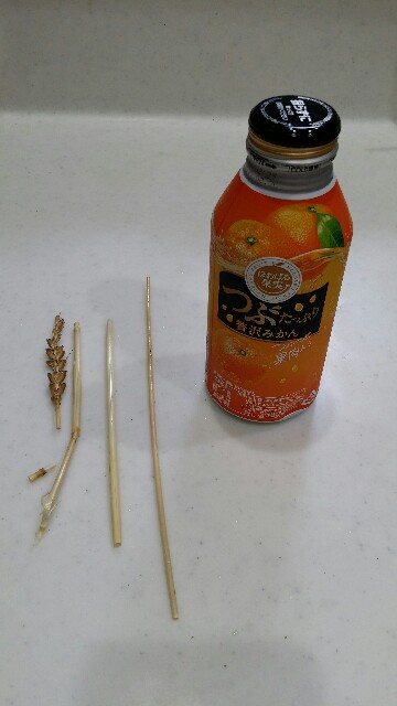 f:id:cogioya:20200531223953j:image f:id:cogioya:20200531223953j:image