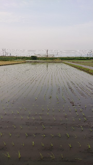 f:id:cogioya:20200608065147j:image f:id:cogioya:20200608065147j:image