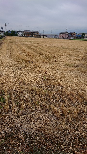 f:id:cogioya:20200610093640j:image f:id:cogioya:20200610093640j:image