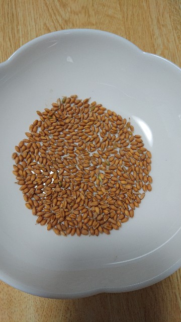 f:id:cogioya:20200610094023j:image f:id:cogioya:20200610094023j:image