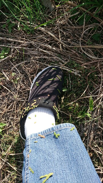 f:id:cogioya:20201021221126j:image