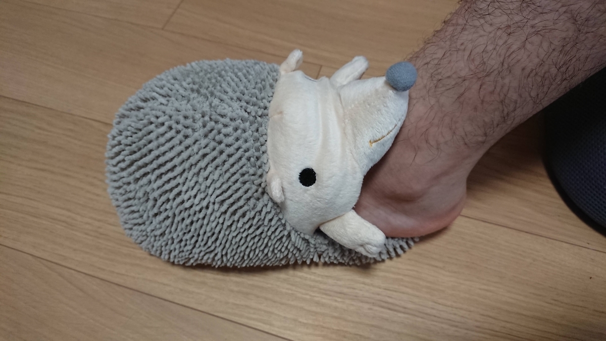 f:id:cogioya:20201115060457j:plain