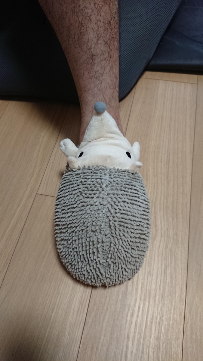 f:id:cogioya:20201115061036j:plain