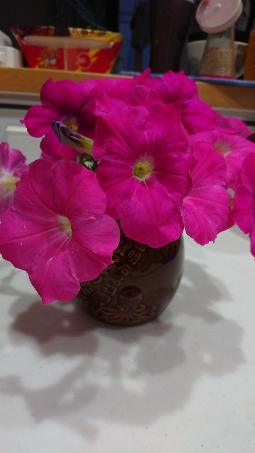 f:id:cogioya:20210612191016j:image