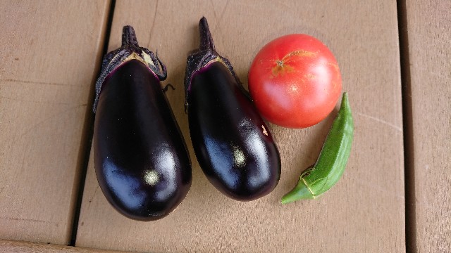 f:id:cogioya:20210718075755j:plain