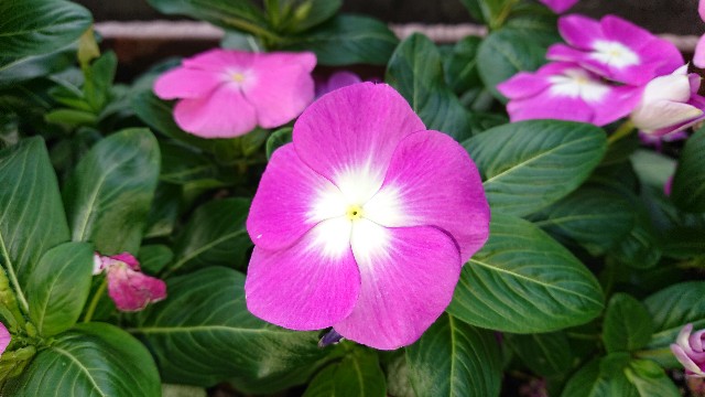 f:id:cogioya:20210926211054j:image f:id:cogioya:20210926211054j:image