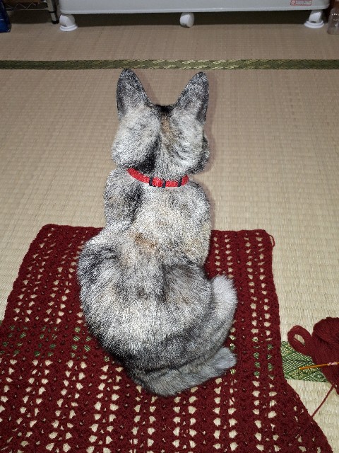 f:id:cogioya:20211222145941j:image f:id:cogioya:20211222145941j:image